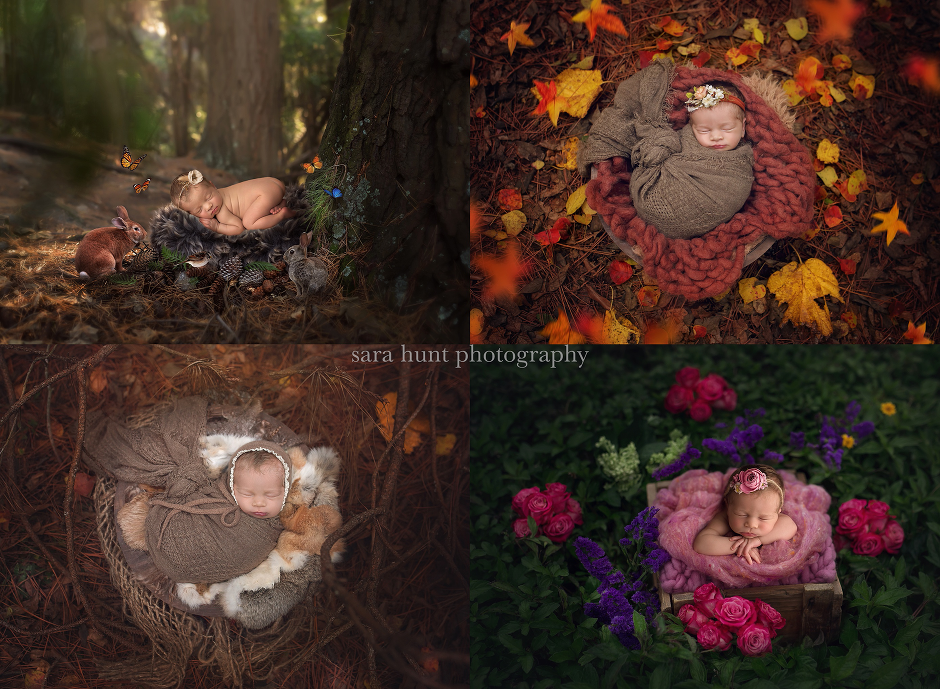 Forest themed newborn baby — Pearland, TX — Sara Hunt Photography