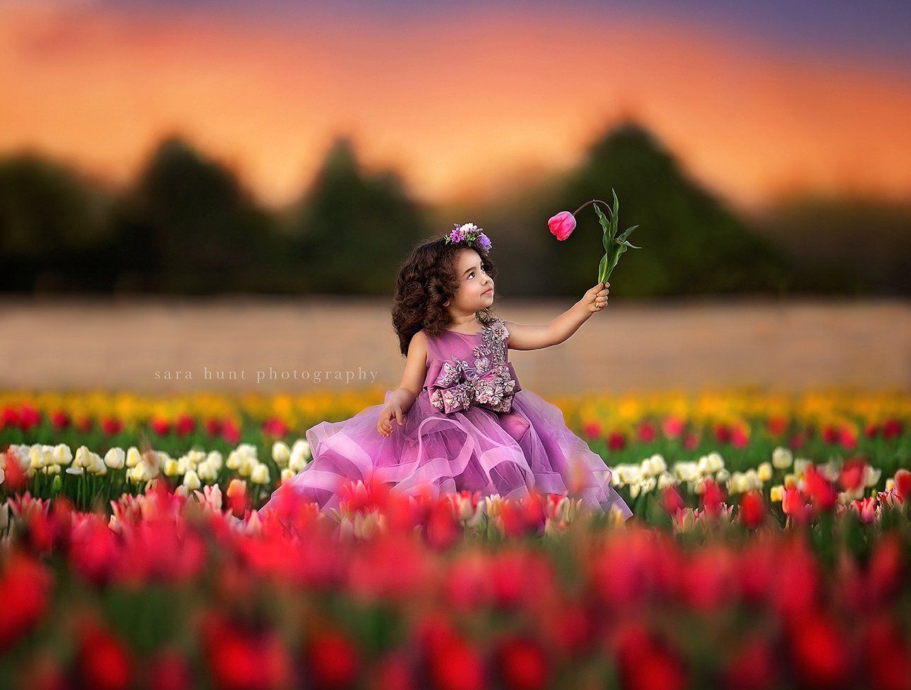 Little girl holding a pink flower — Pearland, TX — Sara Hunt Photography Little girl holding a pink flower — Pearland, TX — Sara Hunt Photography