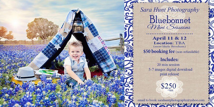 Bluebonnet mini sessions poster — Pearland, TX — Sara Hunt Photography