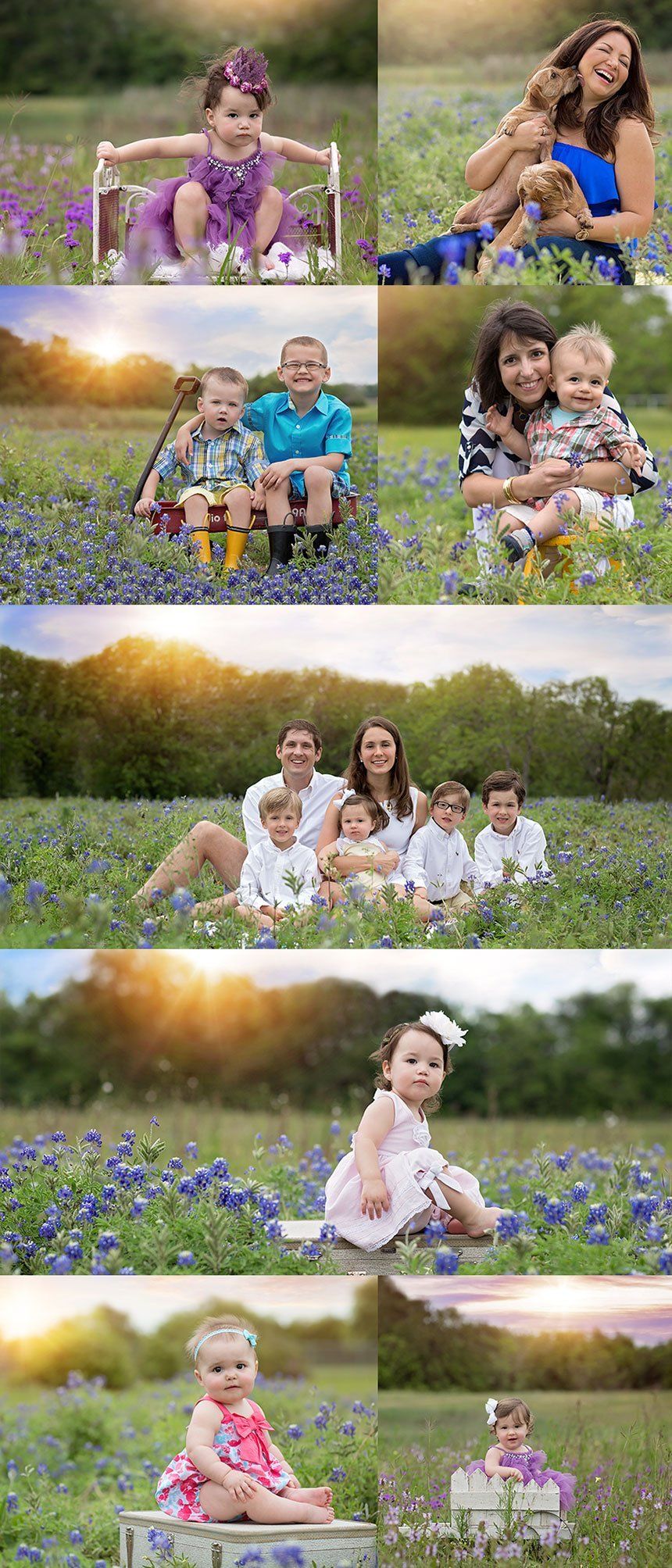 Family collage with their dogs — Pearland, TX — Sara Hunt Photography