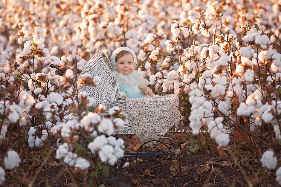 Baby cart in the cotton field — Pearland, TX — Sara Hunt Photography
