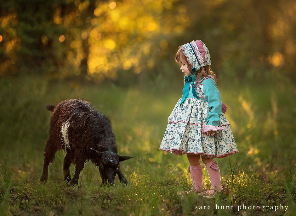Girl with calf — Pearland, TX — Sara Hunt Photography
