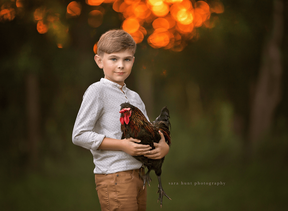 Boy holding chicken — Pearland, TX — Sara Hunt Photography