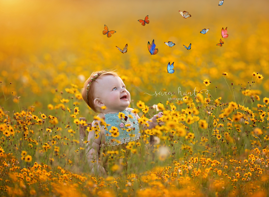 Baby looking at butterflies — Pearland, TX — Sara Hunt Photography