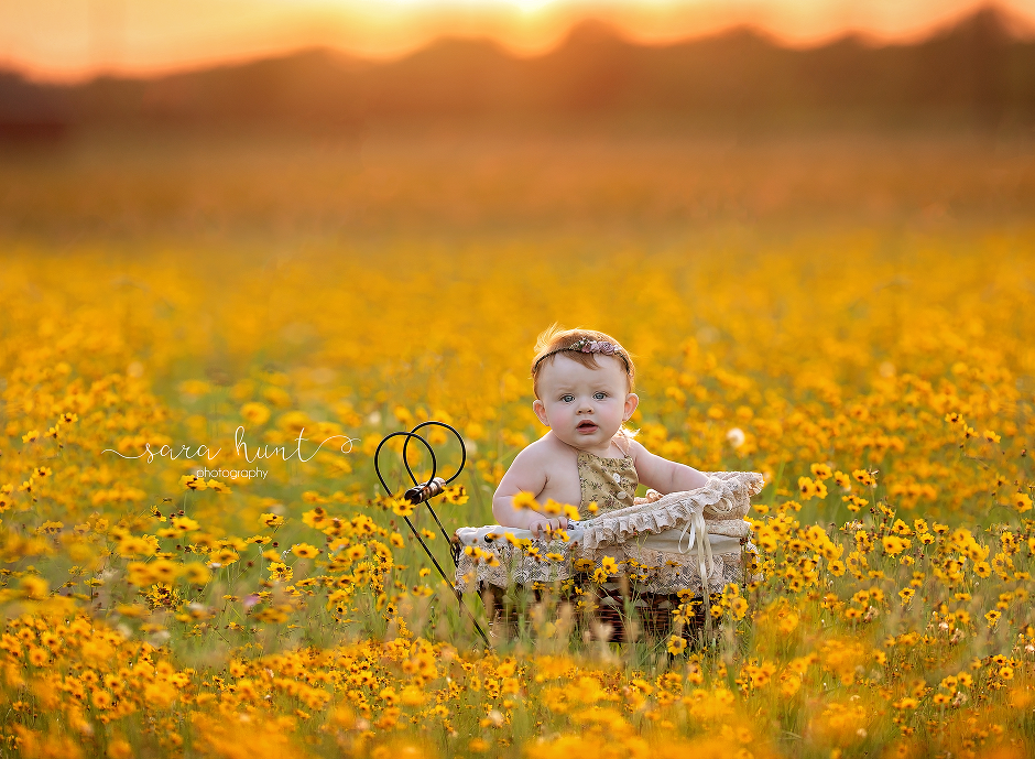 Baby in the field of yellow flowers — Pearland, TX — Sara Hunt Photography