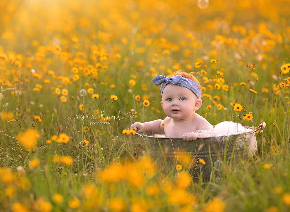 Baby in the basin with yellow flowers — Pearland, TX — Sara Hunt Photography