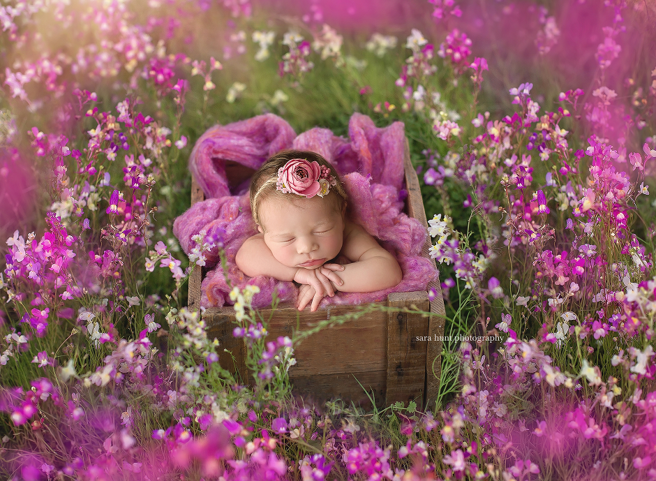Newborn baby on a basket — Pearland, TX — Sara Hunt Photography