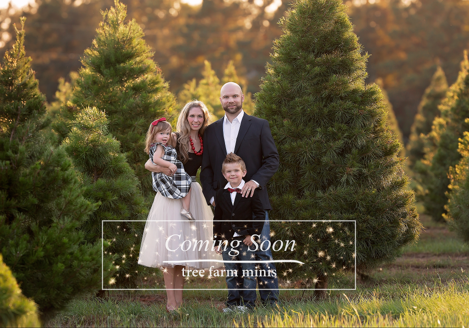 Tree farm minis photo — Pearland, TX — Sara Hunt Photography