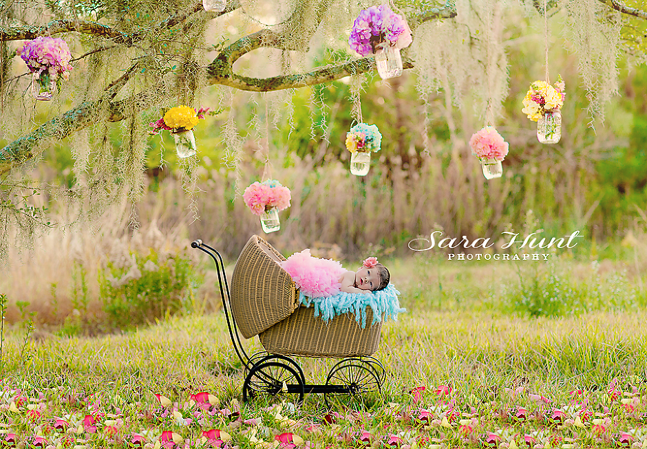 Avery Grace Photoshoot — Baby Girl on A Stroller in Pearland, Tx Avery Grace Photoshoot — Baby Girl on A Stroller in Pearland, Tx