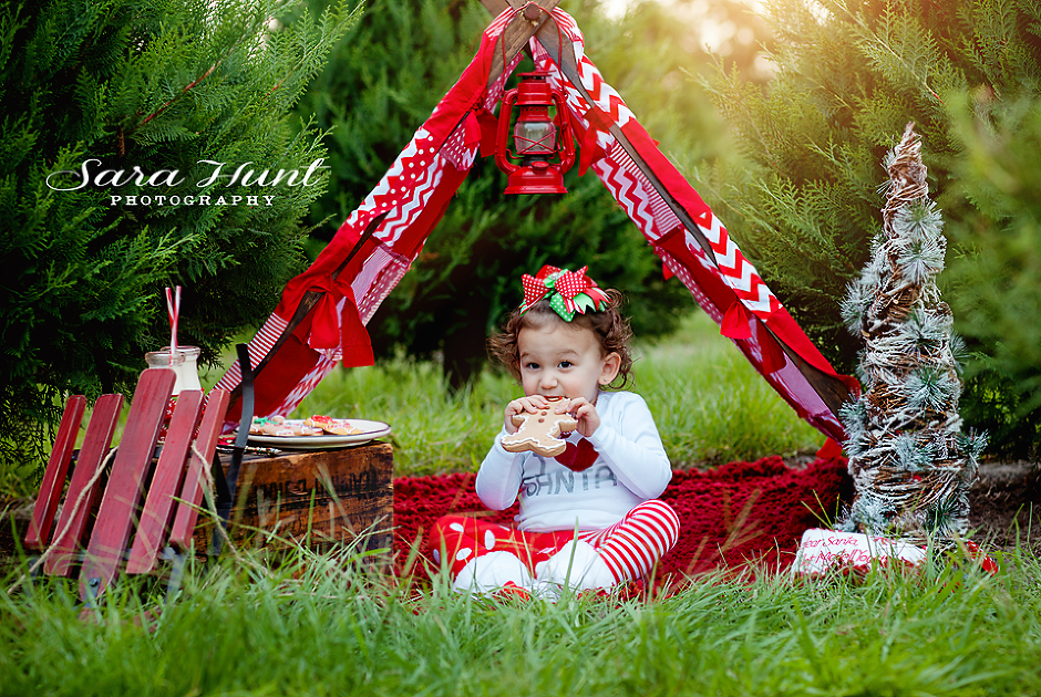Christmas Tree Farm Frame — Sweet Girl Eating Gingerbread in Pearland, TX Christmas Tree Farm Frame — Sweet Girl Eating Gingerbread in Pearland, TX