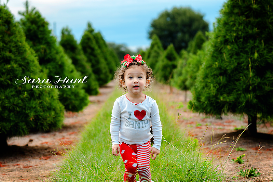 Christmas Tree Frame — Young Girl Between Trees in Pearland, TX Christmas Tree Frame — Young Girl Between Trees in Pearland, TX