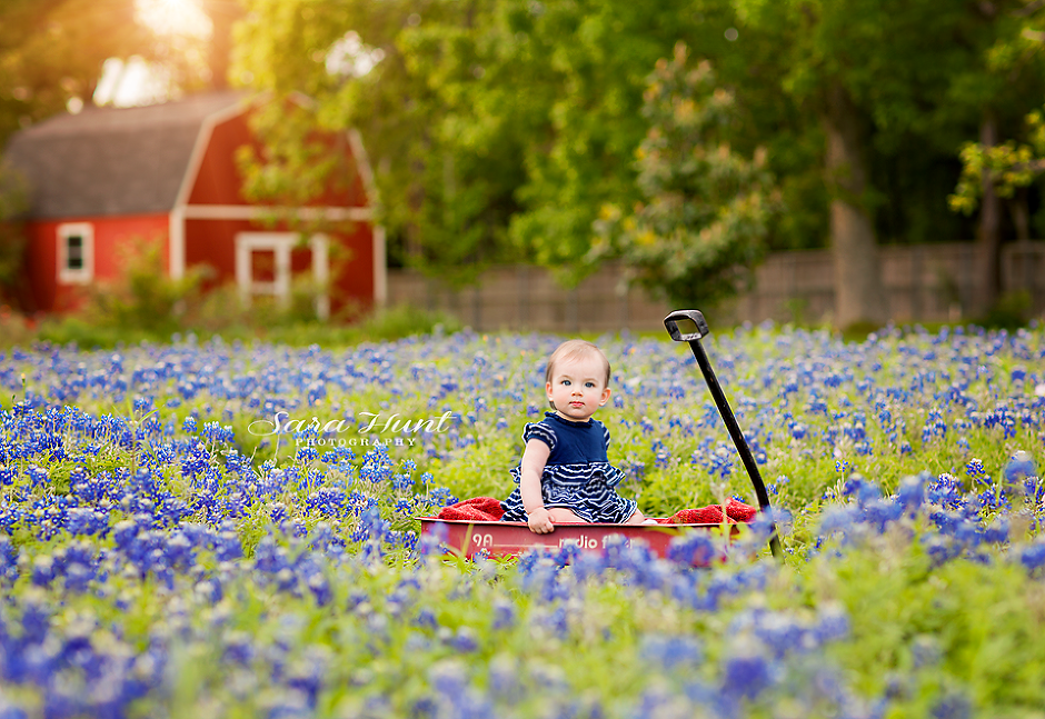 Baby girl on a cart — Pearland, TX — Sara Hunt Photography