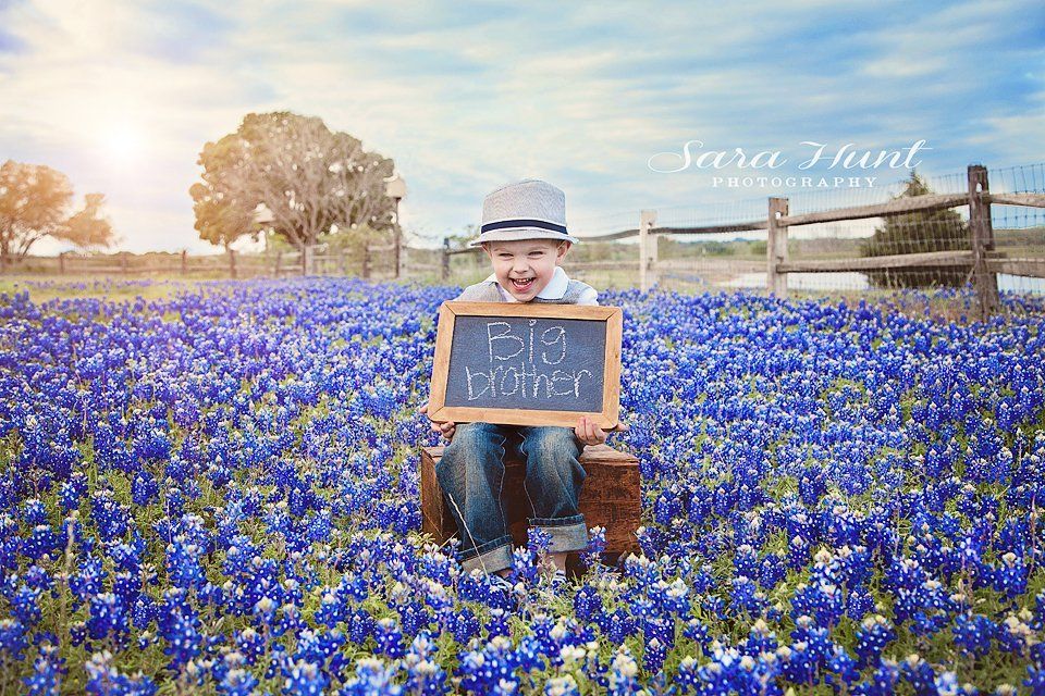 Field of Bluebonnets Photographer — Boy Holding Small Blackboard in Pearland, TX