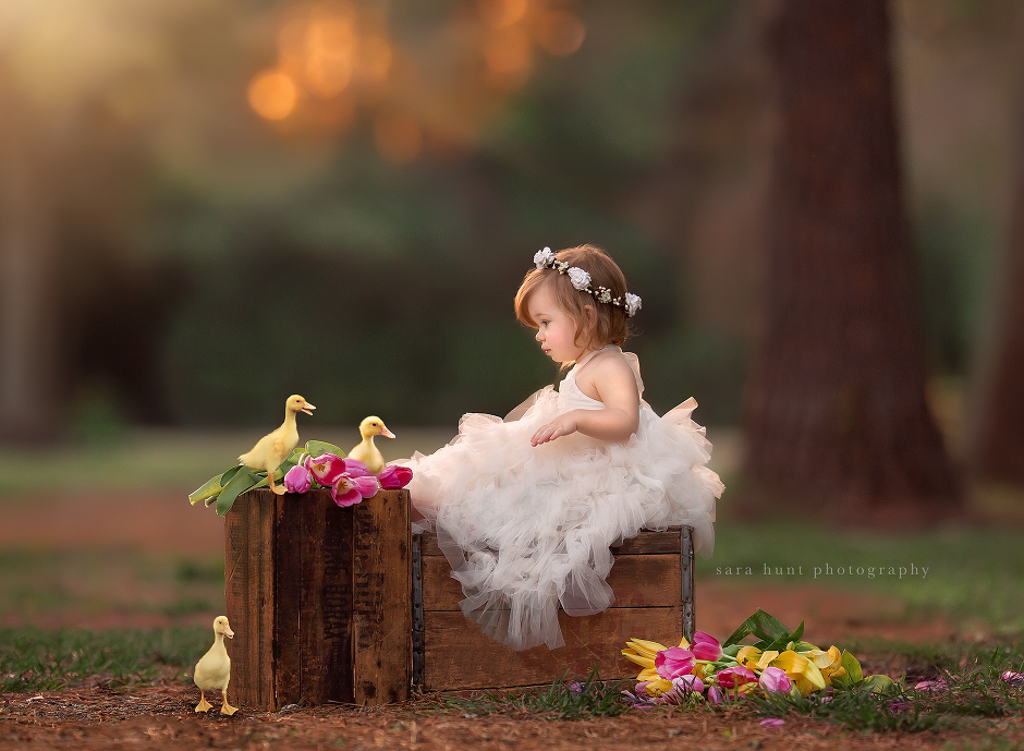 Girl in white dress with three ducks — Pearland, TX — Sara Hunt Photography