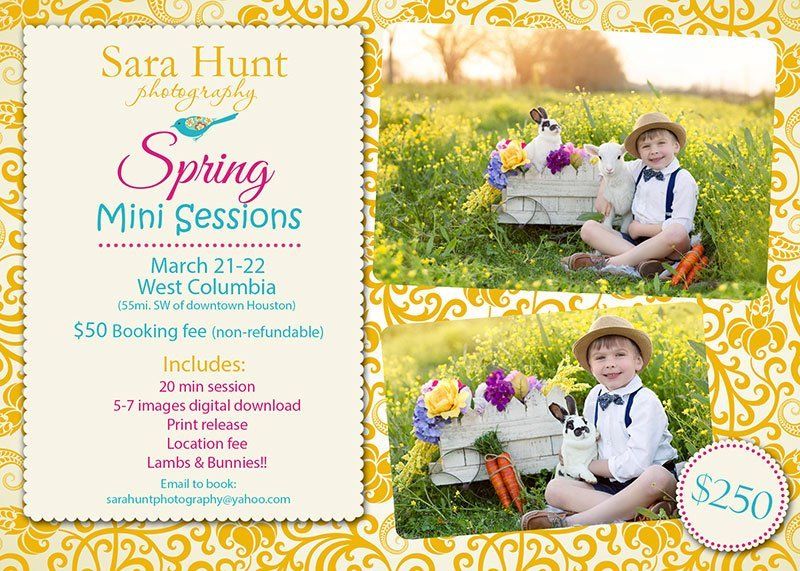 Spring mini sessions poster — Pearland, TX — Sara Hunt Photography