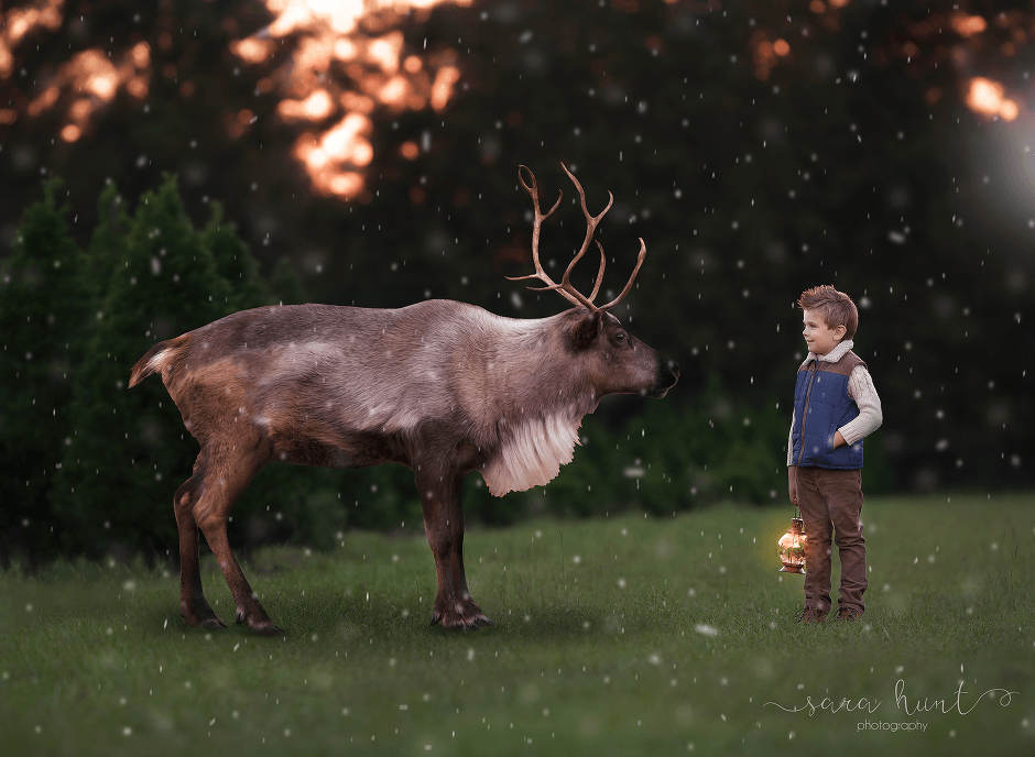 Reindeer fine art image — Pearland, TX — Sara Hunt Photography