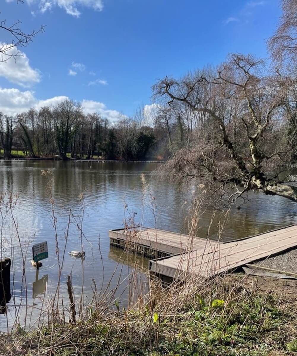 A picture of the pond at Dot Hill Nature reserve in Telford, Shropshire on a sunny day