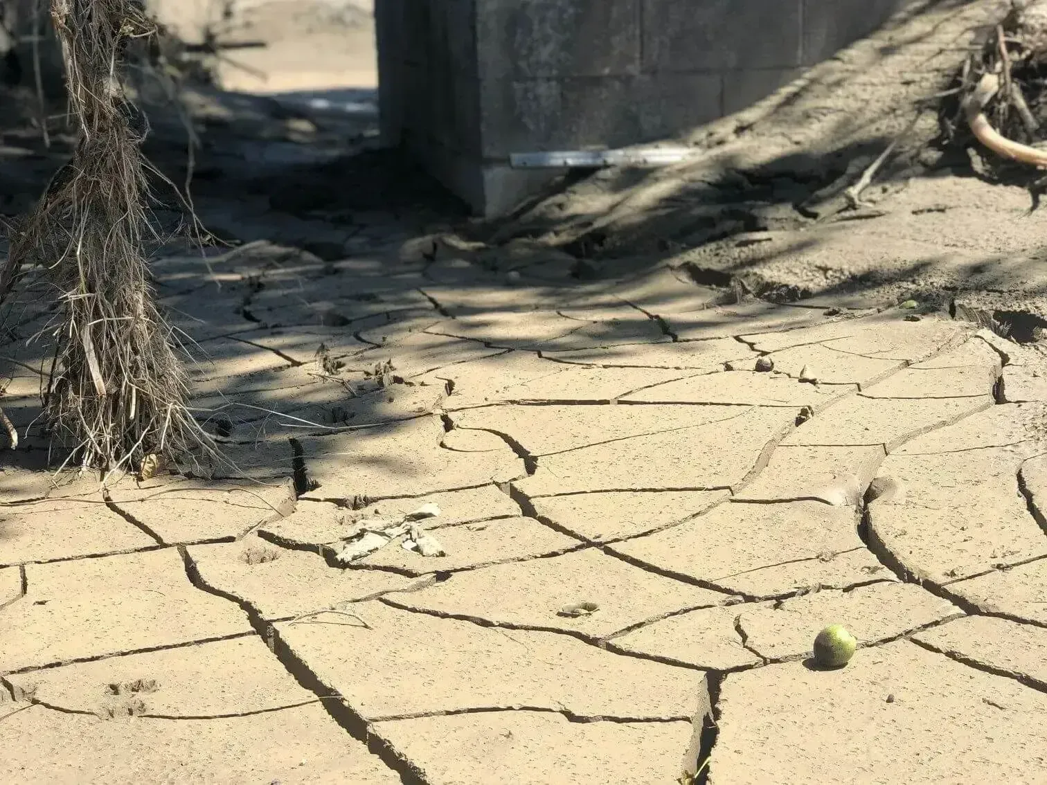 Image of the silt from Cyclone Gabrielle.