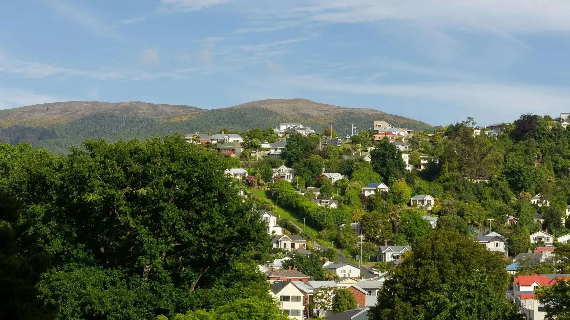 Latest changes in the New Zealand Housing Market.