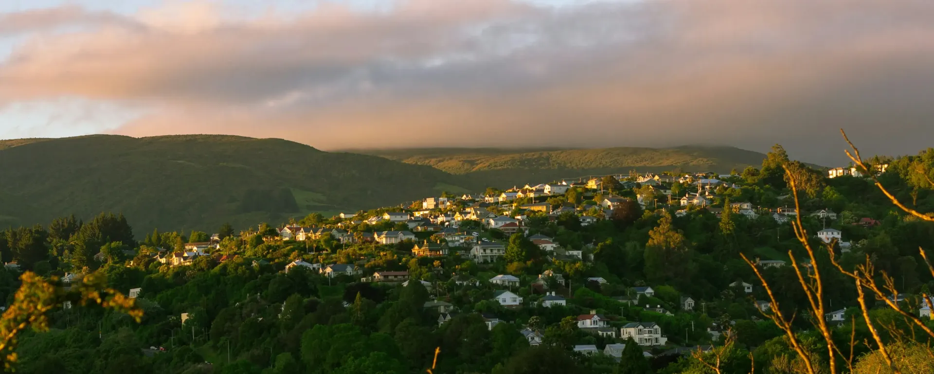Saving for a house deposit in New Zealand. Photo by K8 on Unsplash.