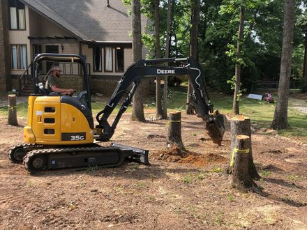 A yellow John Deere compact excavator sits in a grassy residential yard, digging around tree stumps near a house.