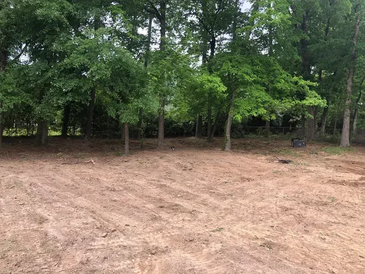 A wide, cleared plot of bare red-brown soil in the foreground, bordered by a dense line of mature green trees behind.