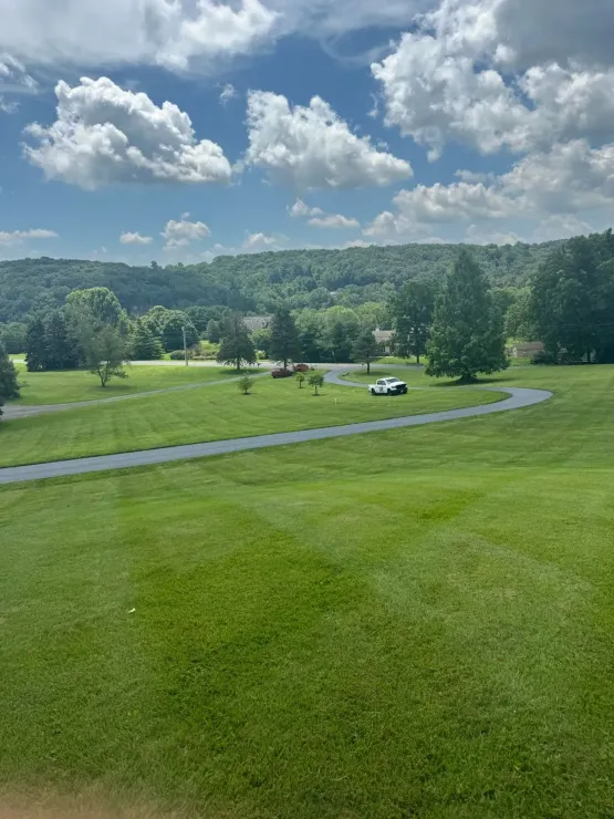 Wide green meadow with a winding path, scattered trees, and a cloudy blue sky over distant hills
