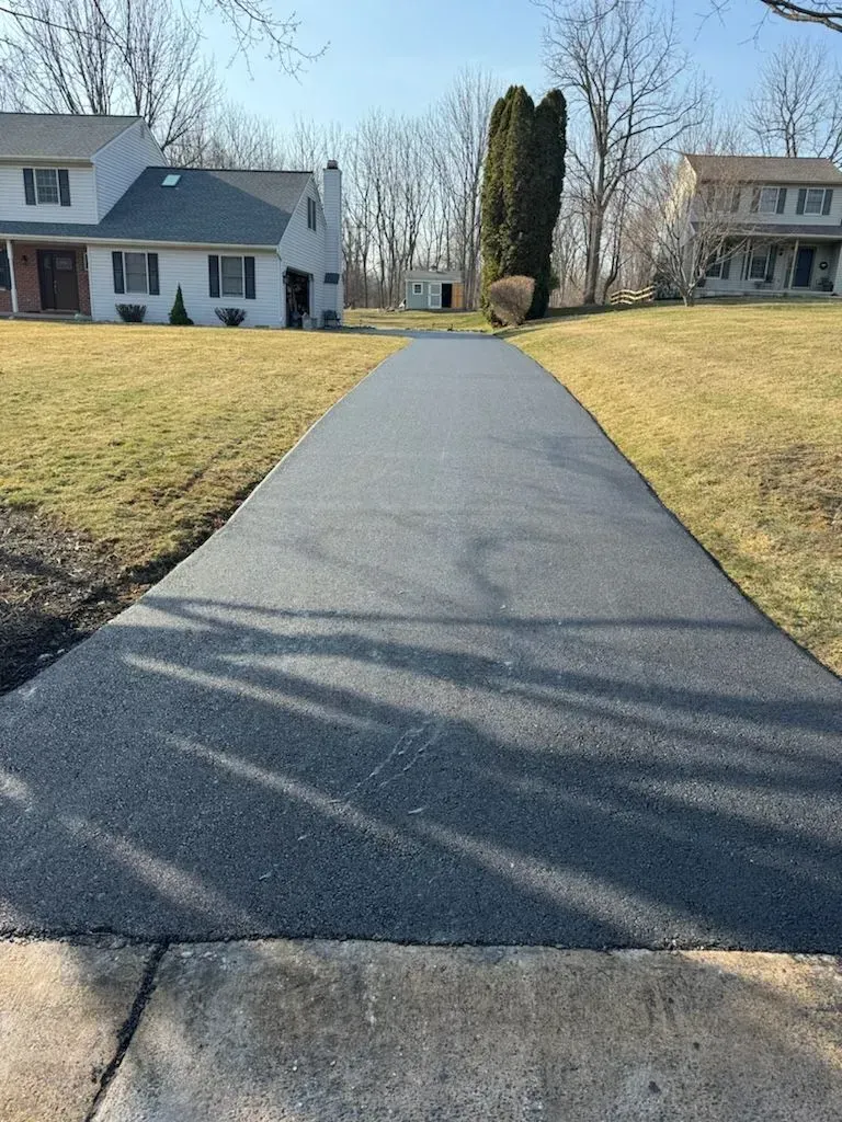 New asphalt driveway leading to two houses with bare trees and winter grass