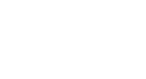 Desert kings Falconry