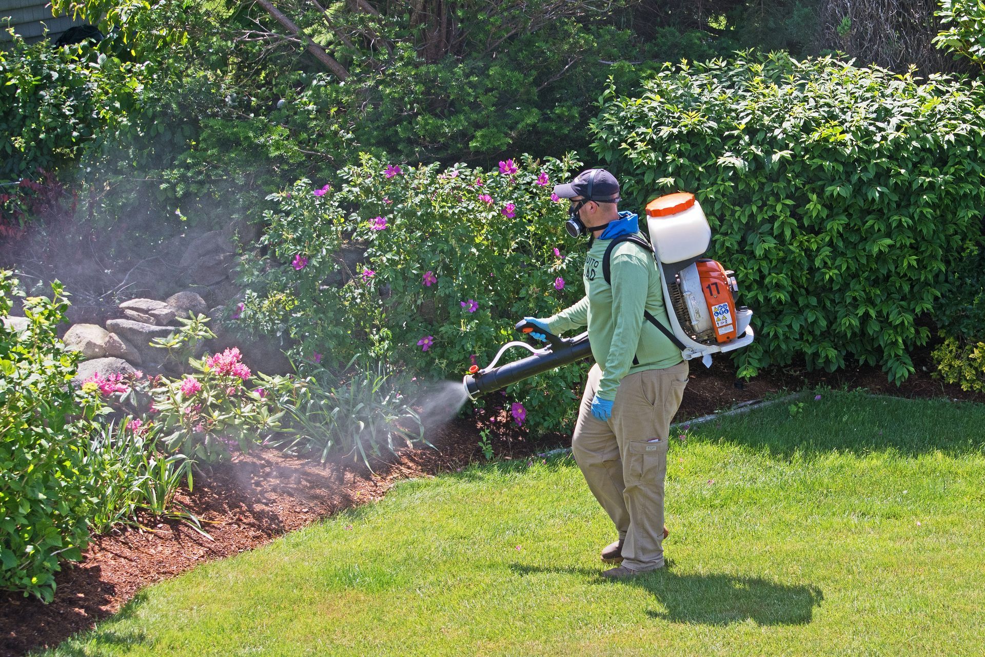 Residential pest control