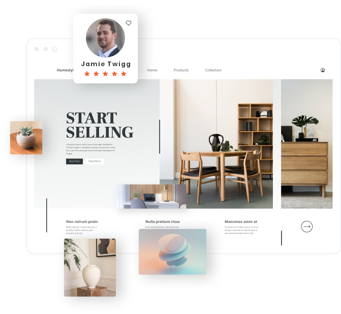 Illustration of browser with Professional NZ Web Designers profile and 5 star rating  in it
