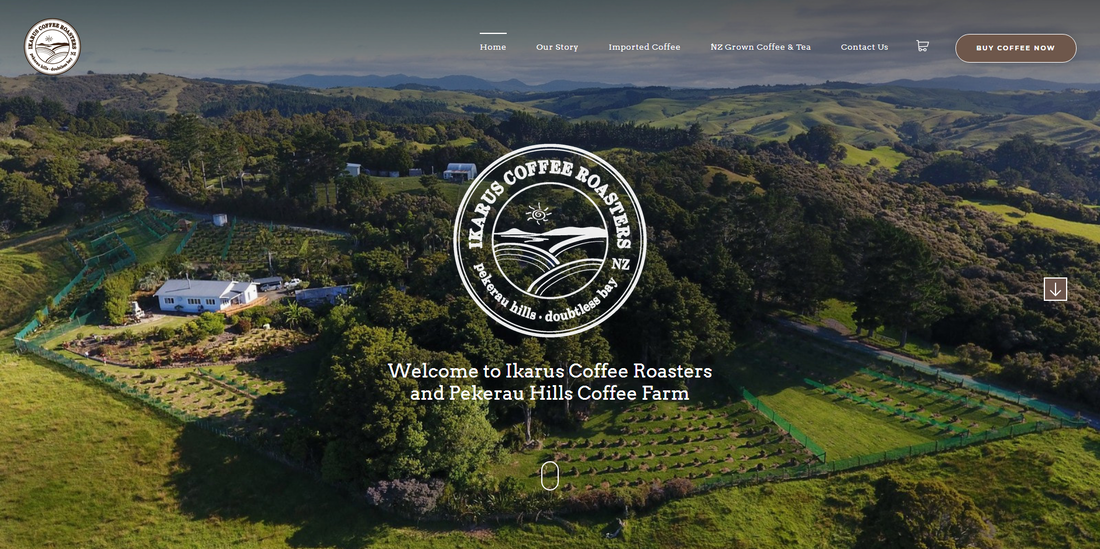 Website design example Ikarus Cofee