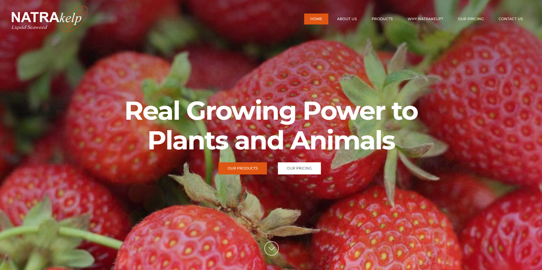 Natrakelp website design portfolio screengrab
