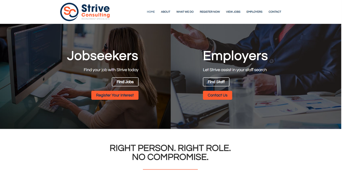 Strive consulting web design portfolio screengrab