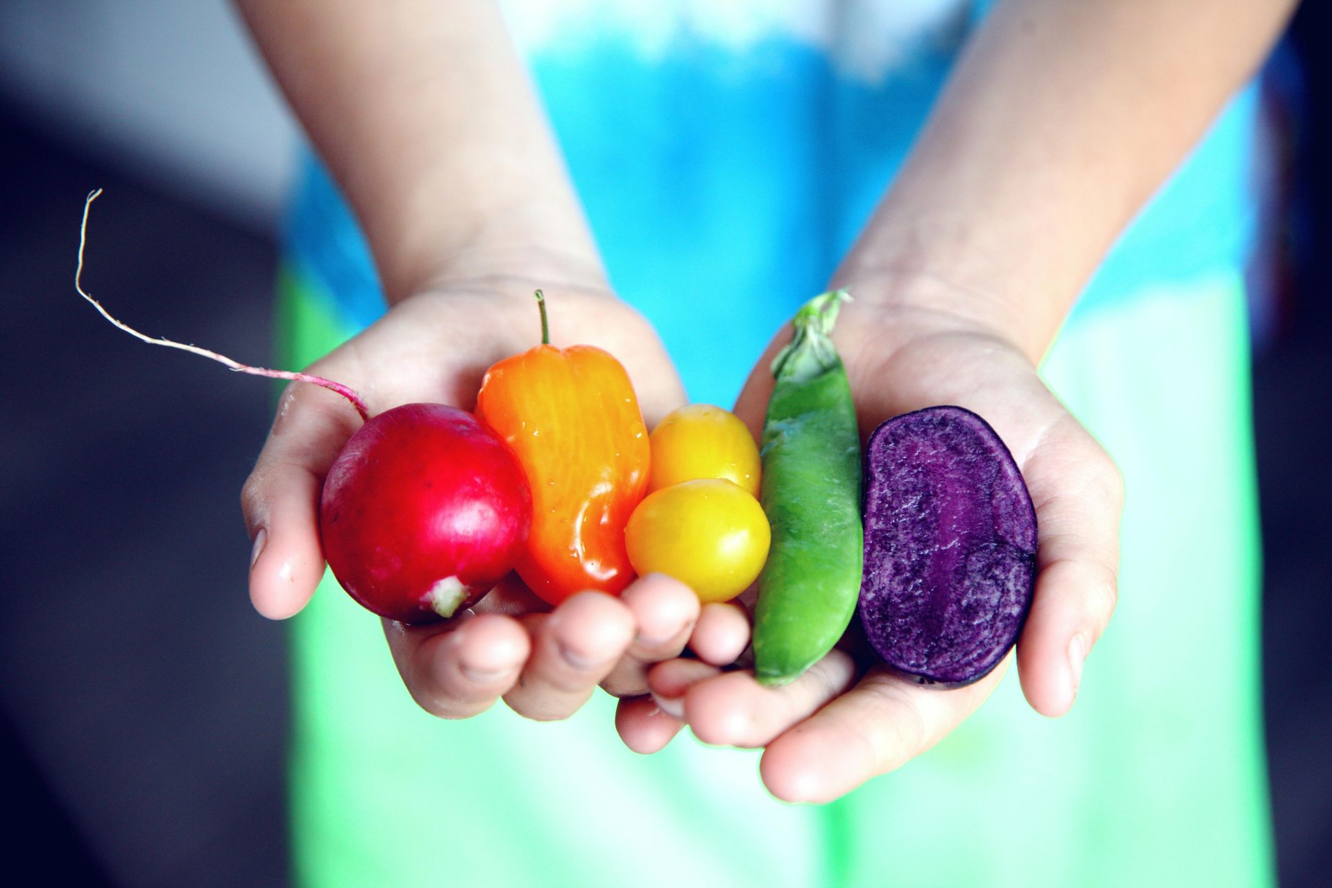 A person is holding a rainbow of fruits and vegetables in their hands.