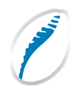 Logo Kauri