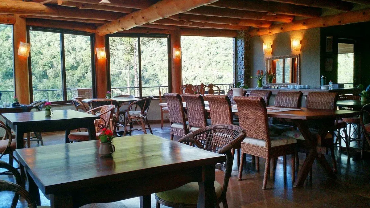 Comedor con paneles de madera, sillas y mesas de mimbre, y grandes ventanales con vistas a la vegetación.