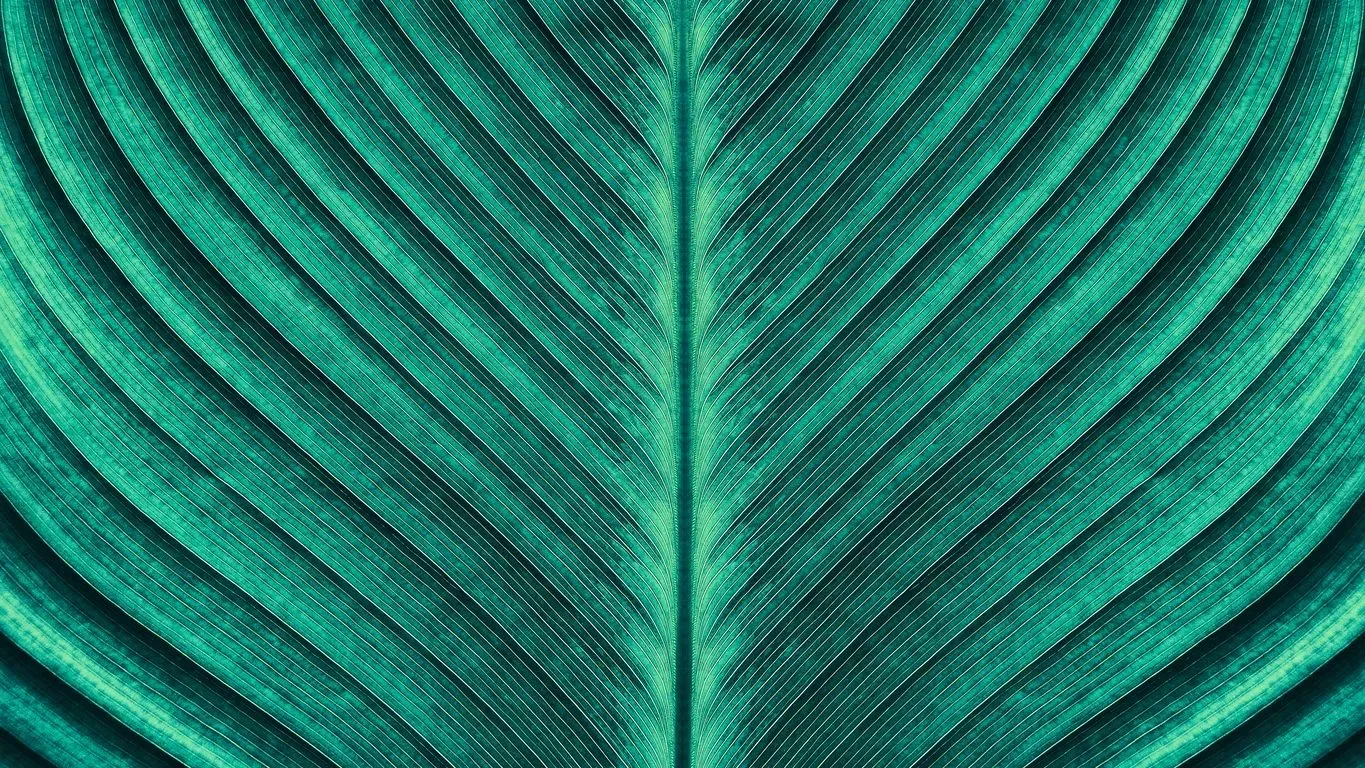 Teal feather pattern with a vertical seam down the center