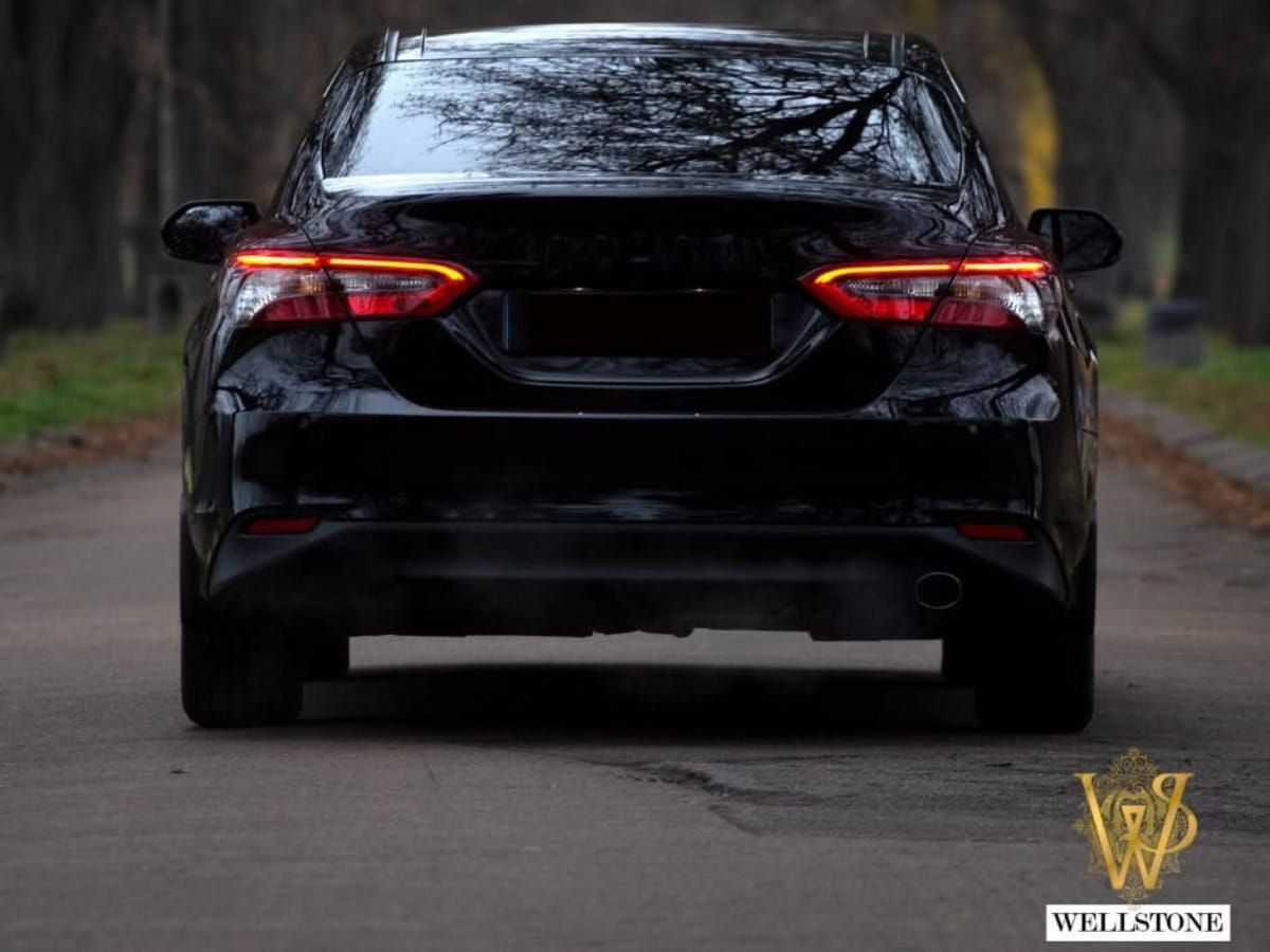 Rear view of a black sedan on a tree-lined road.