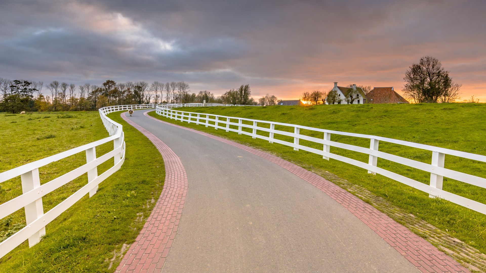 Fence installation in Delevan, NY by KKR Fencing & Outdoor Services