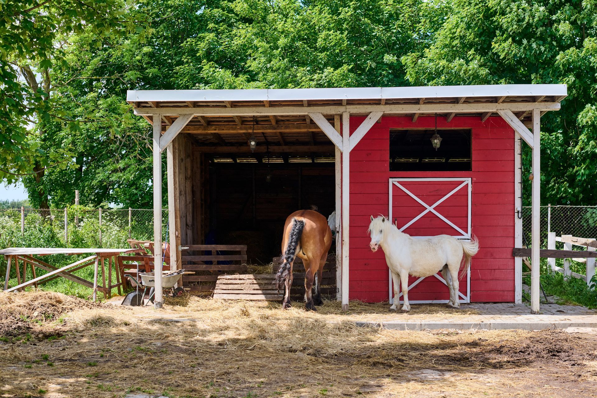 two horses entering a pole barn in western NY
