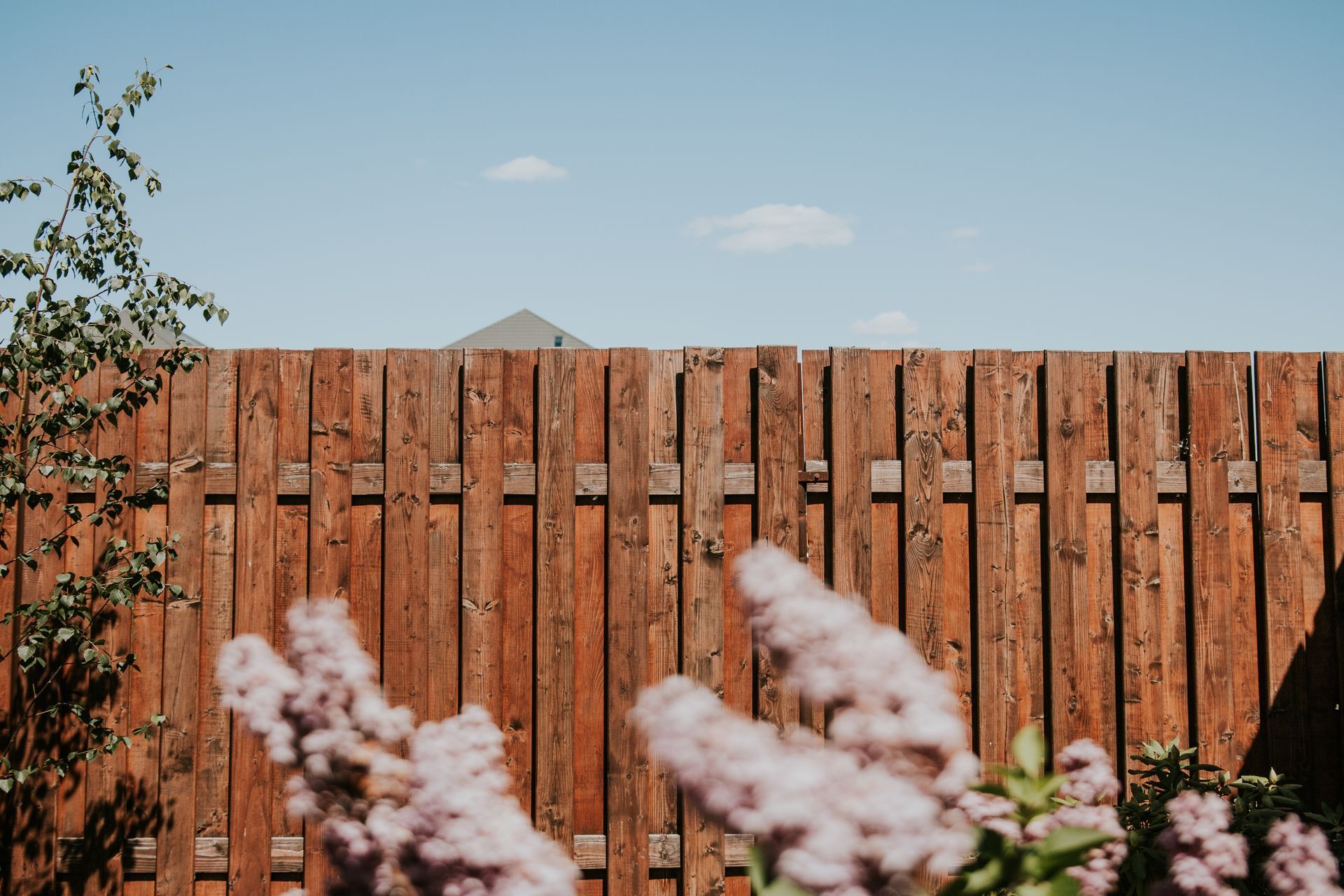 Board-on-board wood fence installed in Buffalo backyard by KKR Fencing