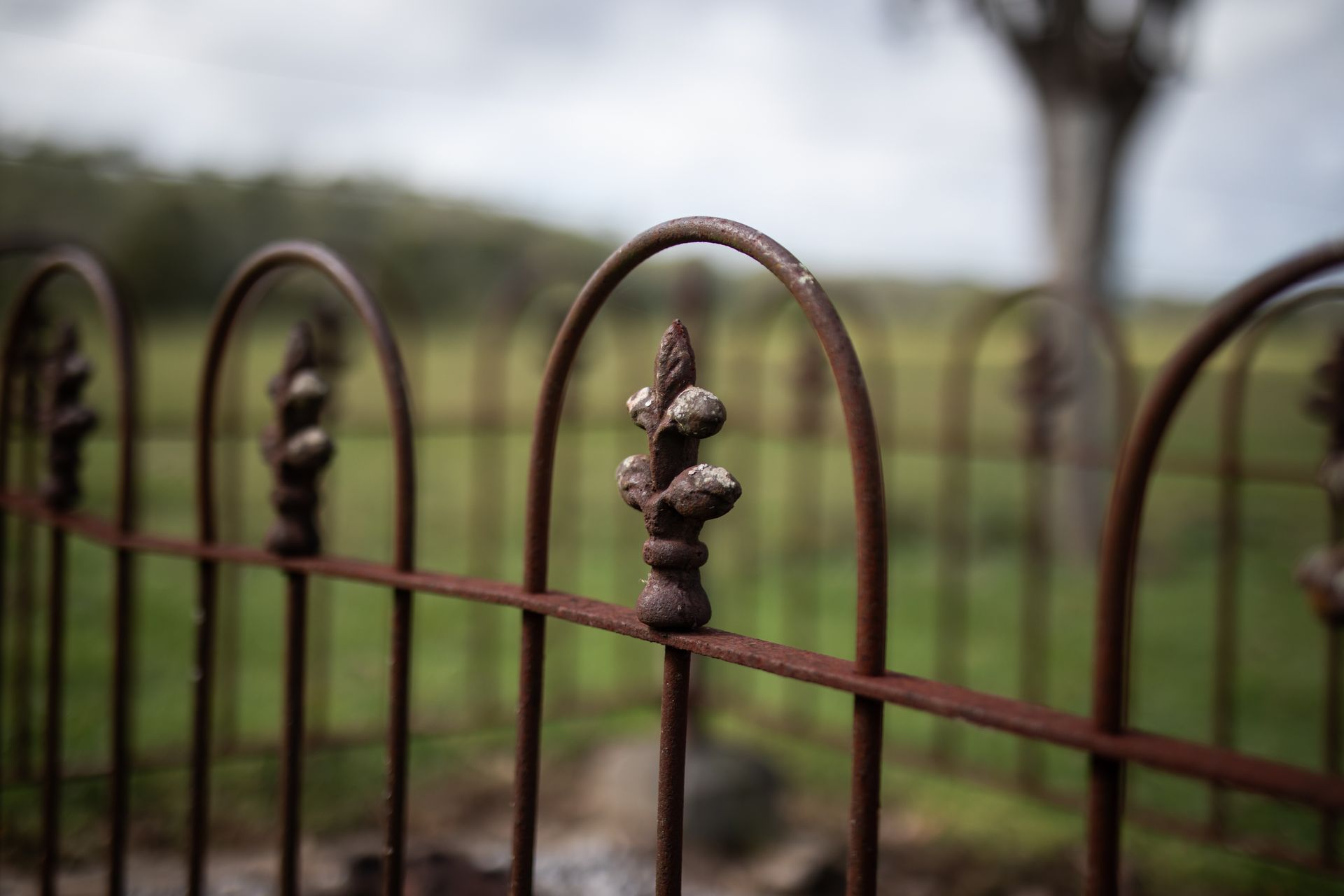 Wrought iron fence installation in Delevan, NY by KKR Fencing