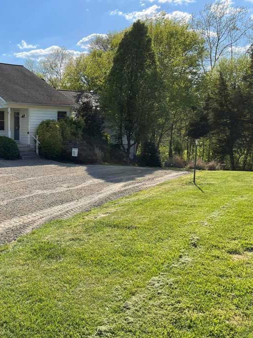 Suburban house with driveway, green lawn, and tall trees under a blue sky