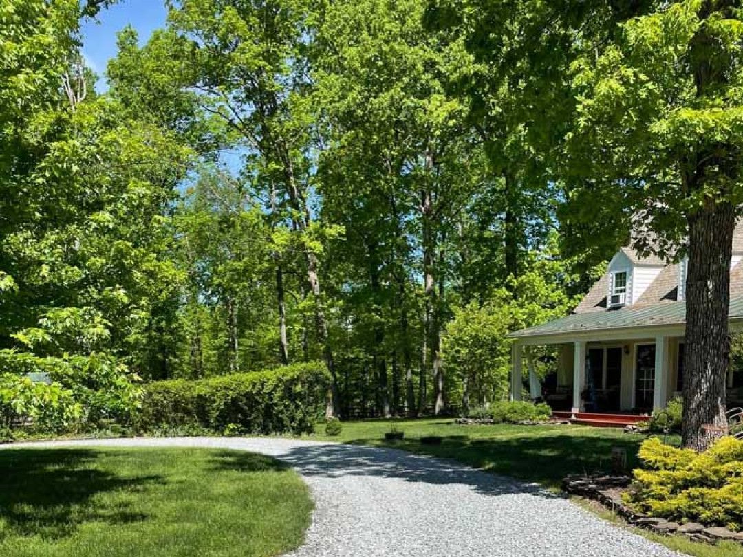 Tree-lined driveway beside a white house with a porch and red steps on a sunny day