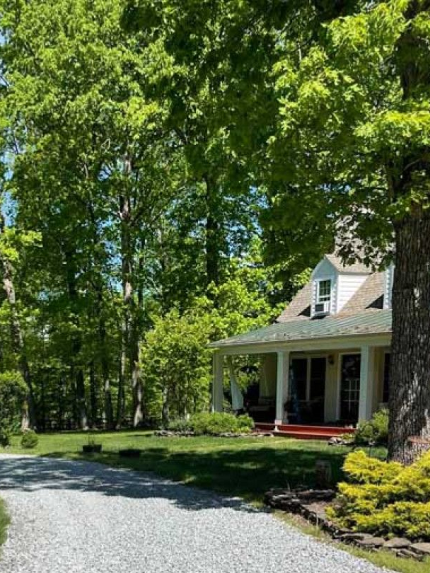 White house with porch beside a gravel driveway, surrounded by tall green trees and a sunny front yard