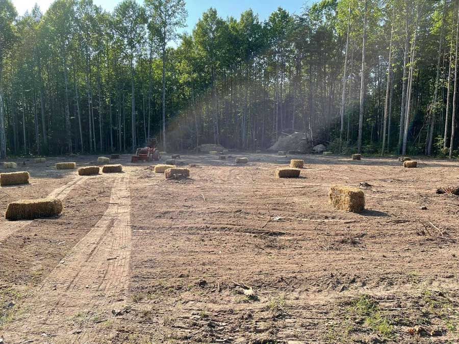 Hay bales scattered across a cleared field beside a forest under bright sunlight.