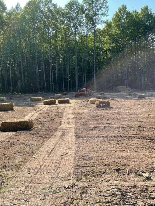 Hay bales scattered on a dirt field at the edge of a forest, with a tractor in the distance.