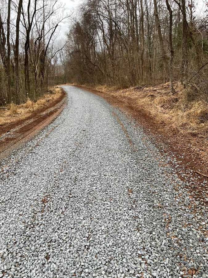 Gravel road curving through a bare winter forest