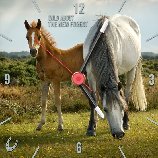 Mare and Foal clock shot in the evening light. Also available in a large clock design.
